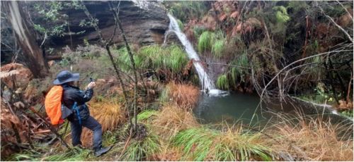 Cascata - Bando do Codes