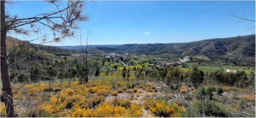 Miradouro da Serra Amarela